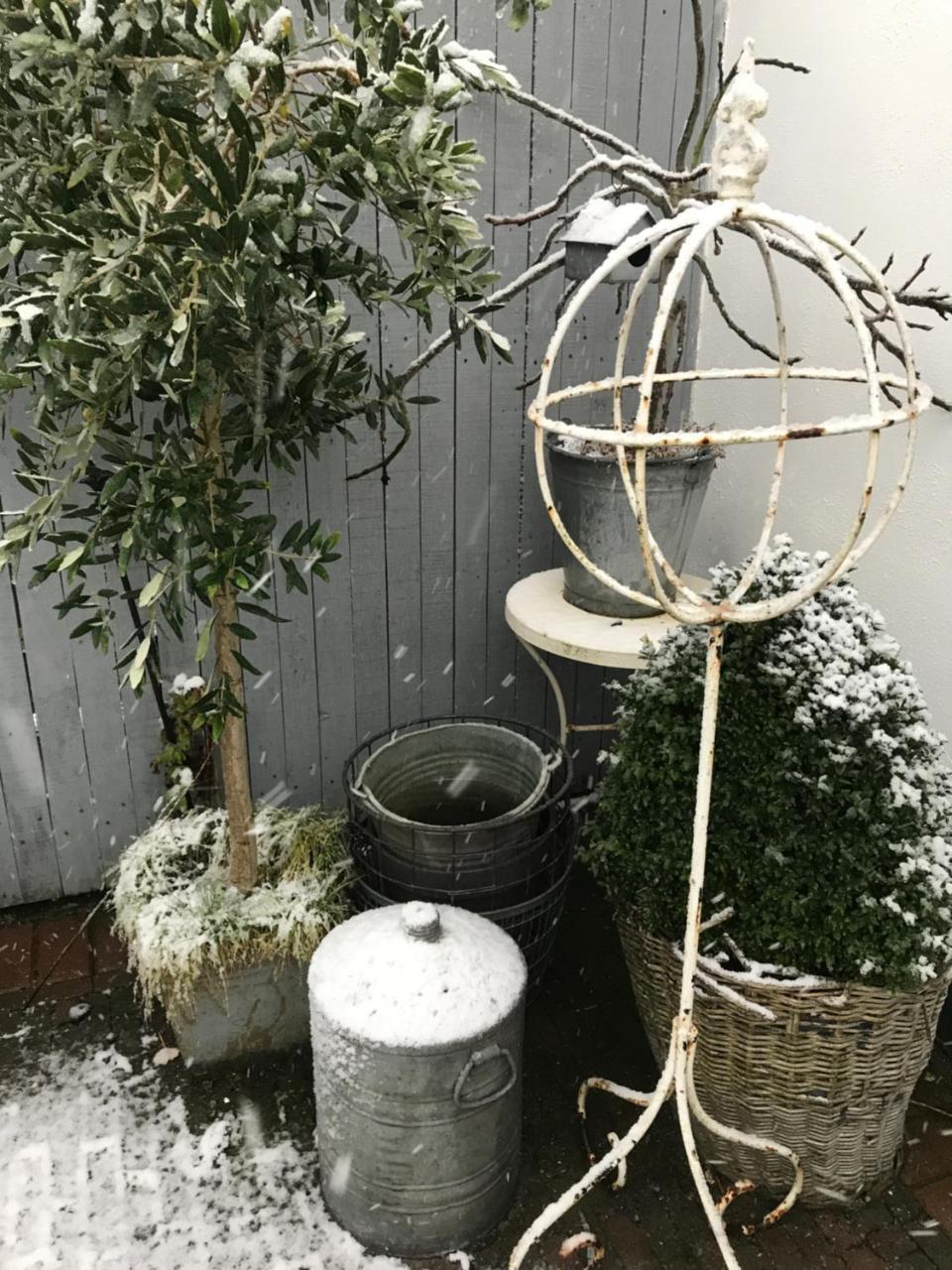Het Koetshuis Kamperland Exteriör bild