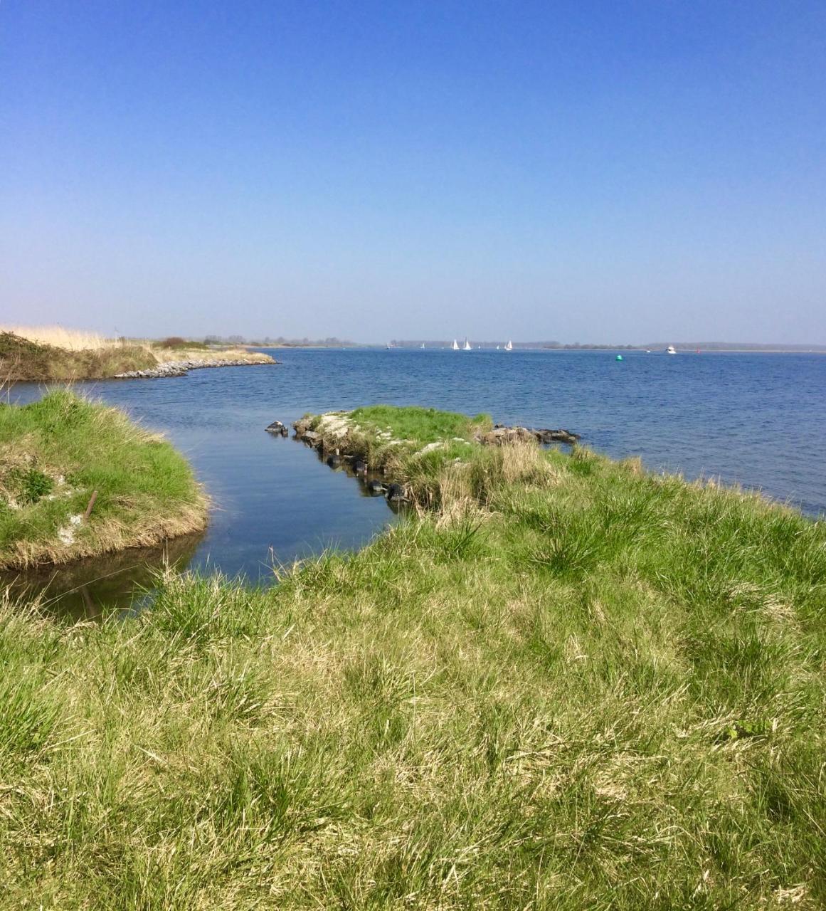 Het Koetshuis Kamperland Exteriör bild